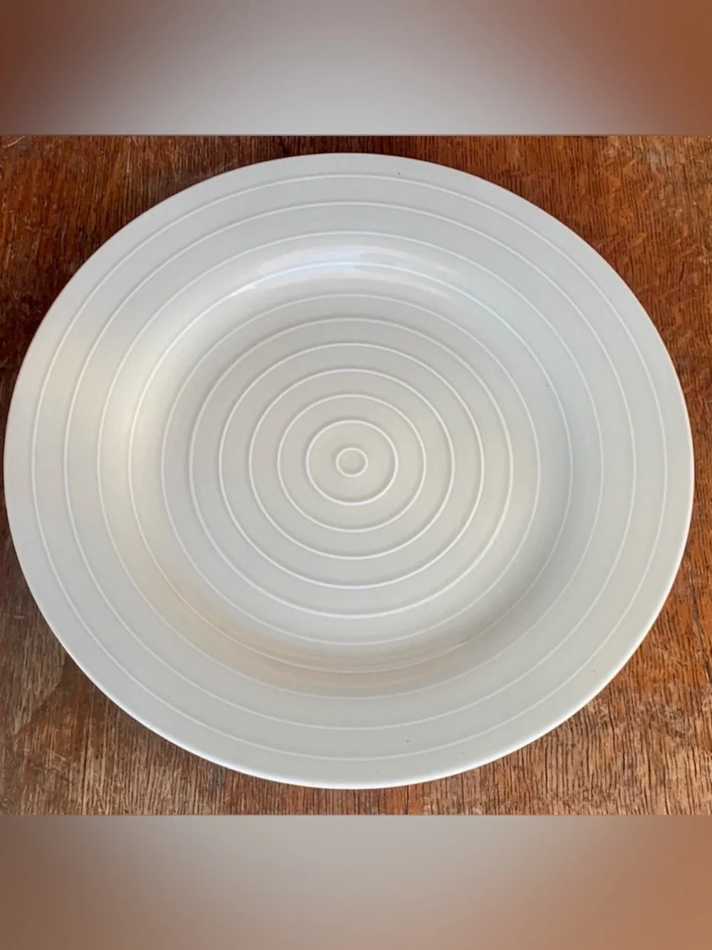 Anna Nilsson IKEA 365 Beige Taupe Concentric Ringed 12.75” Plate